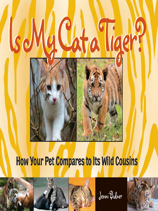 Title details for Is My Cat a Tiger? by Jenni Bidner - Available